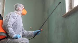 Best Asbestos and Lead Testing During Mold Inspection in Shasta Lake, CA